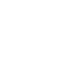 Custom Shluchim Software Logo